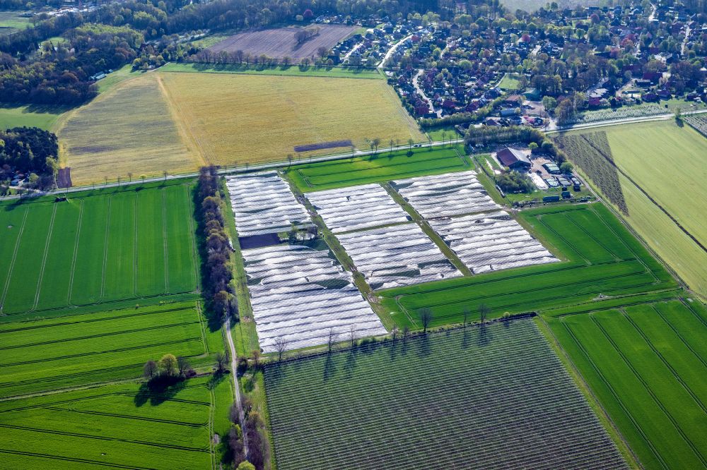 Nottensdorf von oben - Reihen mit Spargel- Anbau auf Feld- Flächen in Nottensdorf im Bundesland Niedersachsen, Deutschland