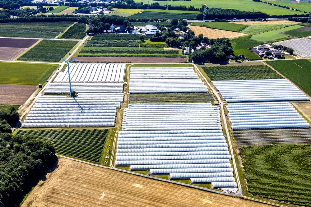 Luftbild Bottrop - Reihen mit Spargel- Anbau auf Feld- Flächen im Ortsteil Kirchhellen in Bottrop im Bundesland Nordrhein-Westfalen, Deutschland