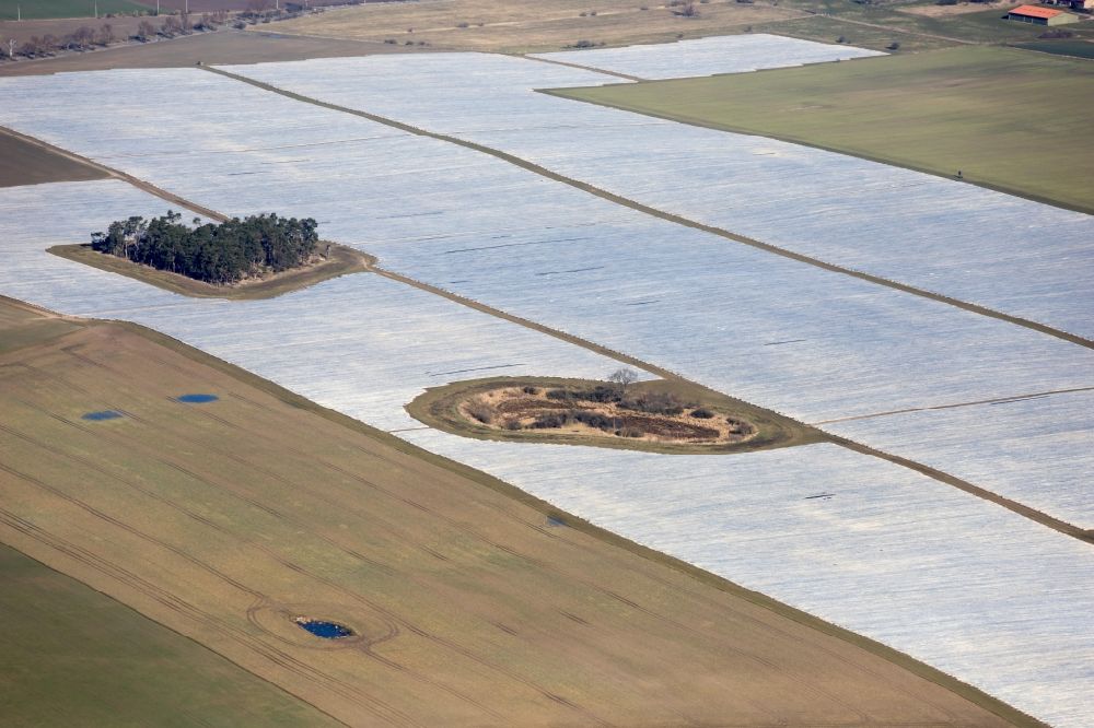 Luftaufnahme Rheinsberg - Reihen mit Spargel- Anbau auf Feld- Flächen in Rheinsberg im Bundesland Brandenburg, Deutschland