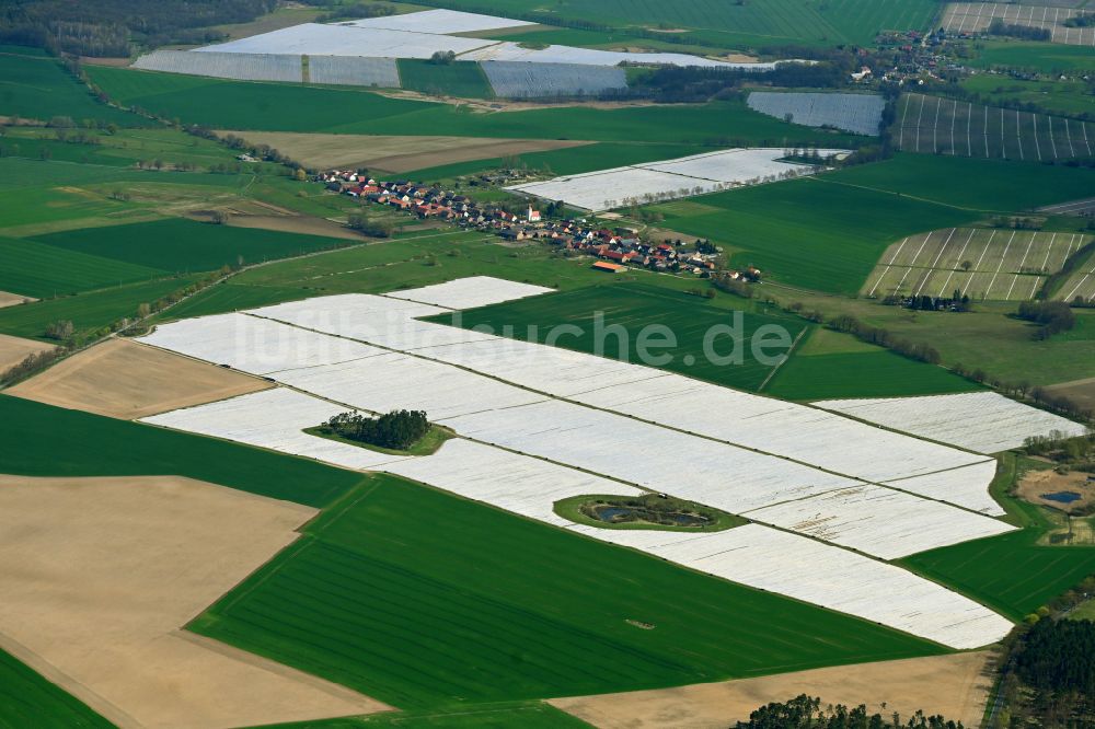 Luftbild Schönermark - Reihen mit Spargel- Anbau auf Feld- Flächen in Schönermark im Bundesland Brandenburg, Deutschland