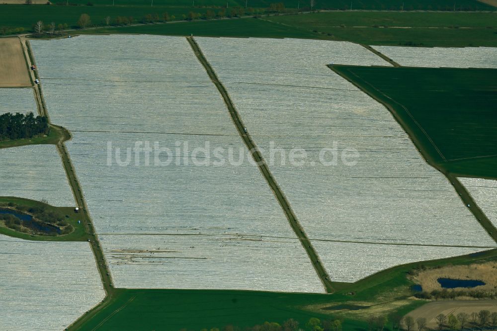 Schönermark von oben - Reihen mit Spargel- Anbau auf Feld- Flächen in Schönermark im Bundesland Brandenburg, Deutschland