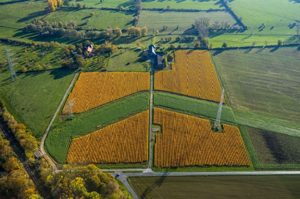 Luftbild Spellen - Reihen mit Spargel- Anbau auf Feld- Flächen in Spellen im Bundesland Nordrhein-Westfalen, Deutschland