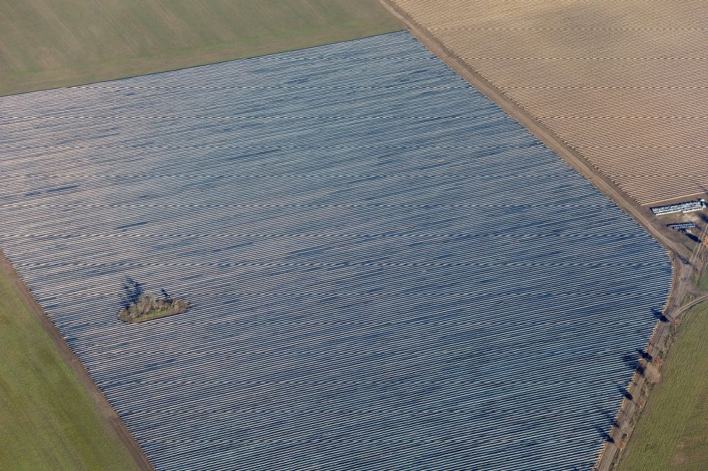Luftbild Wittbrietzen - Reihen mit Spargel- Anbau auf Feld- Flächen in Wittbrietzen im Bundesland Brandenburg, Deutschland