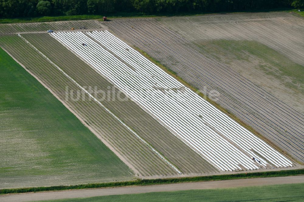 Zehlendorf von oben - Reihen mit Spargel- Anbau auf Feld- Flächen in Zehlendorf im Bundesland Brandenburg, Deutschland