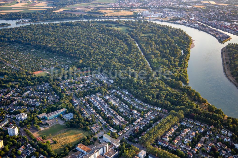 Mannheim aus der Vogelperspektive: Reißinsel ein Naturschutzgebiet in der Rheinschleife in Mannheim im Bundesland Baden-Württemberg, Deutschland