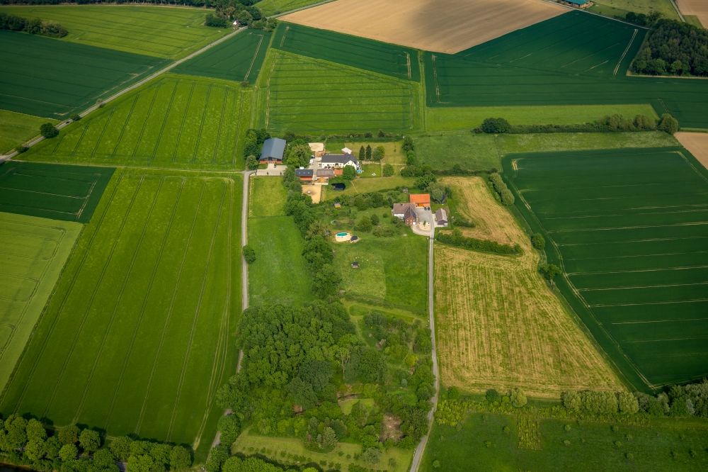 Luftaufnahme Hamm - Reitstall - Reiterhof - Marstall am Oberallener Weg in Hamm im Bundesland Nordrhein-Westfalen, Deutschland
