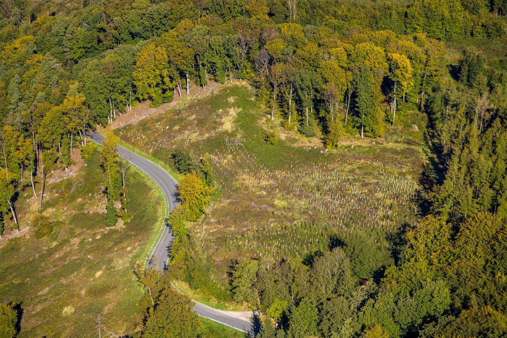 Luftaufnahme Eisborn - Renaturierung durch Aufforstung von Jungbäumen im Waldgelände in Eisborn im Bundesland Nordrhein-Westfalen, Deutschland