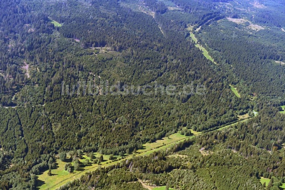 Luftaufnahme Rosenthal am Rennsteig - Renaturierung durch Aufforstung von Jungbäumen im Waldgelände im Verlauf der ehemaligen DDR- Grenze in Rosenthal am Rennsteig im Bundesland Thüringen, Deutschland
