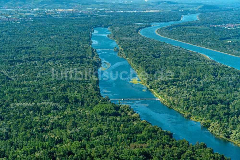 Luftbild Rhinau - Rheininsel Rhinau am Oberrhein. Naturschutzgebiet in Rhinau in Grand Est, Frankreich