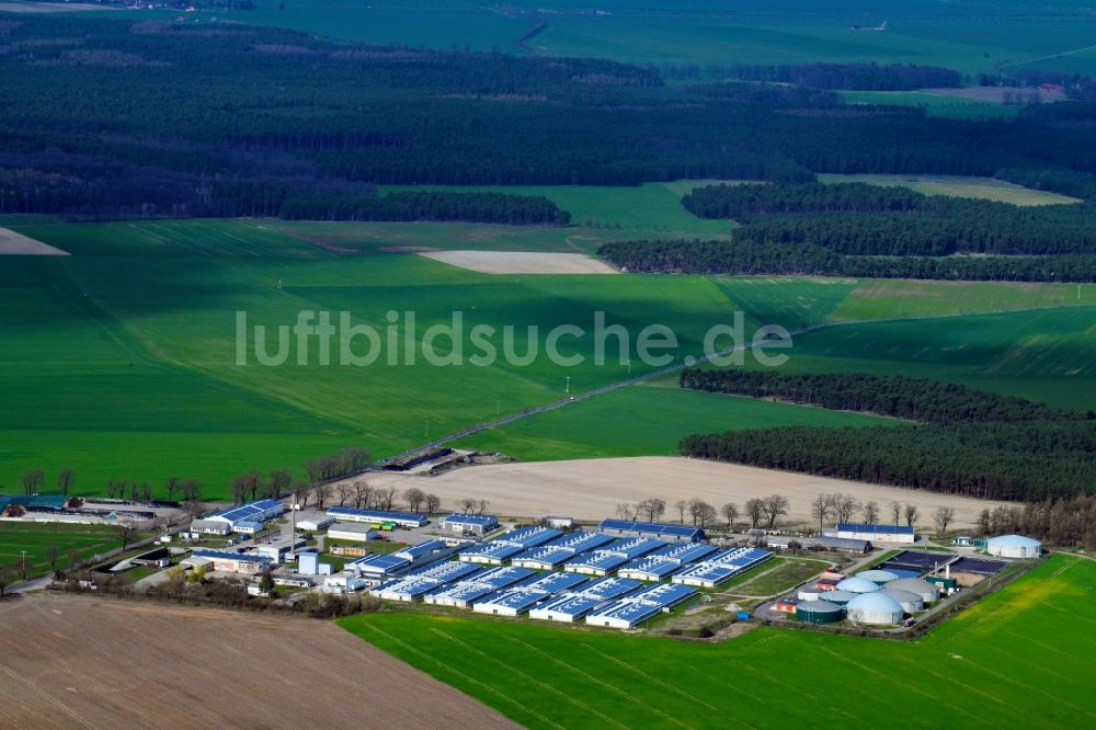 Luftbild Stresow - Rittergut Stresow und Biogas Stresow Schweinemastanlage und Stallanlagen in Stresow im Bundesland Sachsen-Anhalt, Deutschland