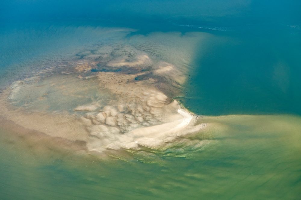 Luftaufnahme Nigehörn - Robben im Wattenmeer auf Sandbänken vor der Nordseeküste von Cuxhaven, am Außenriff im Bundesland Hamburg, Deutschland