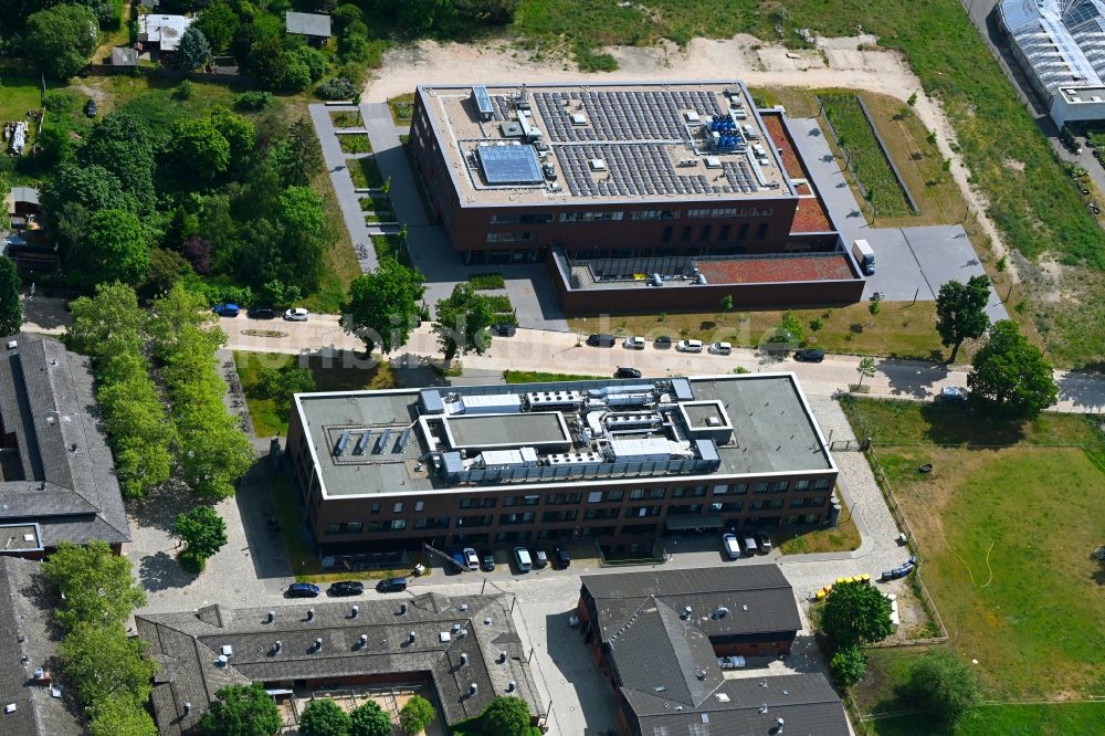 Luftbild Berlin - Robert-von-Ostertag-Haus des Institut für Virologie und Immunologie in Berlin, Deutschland
