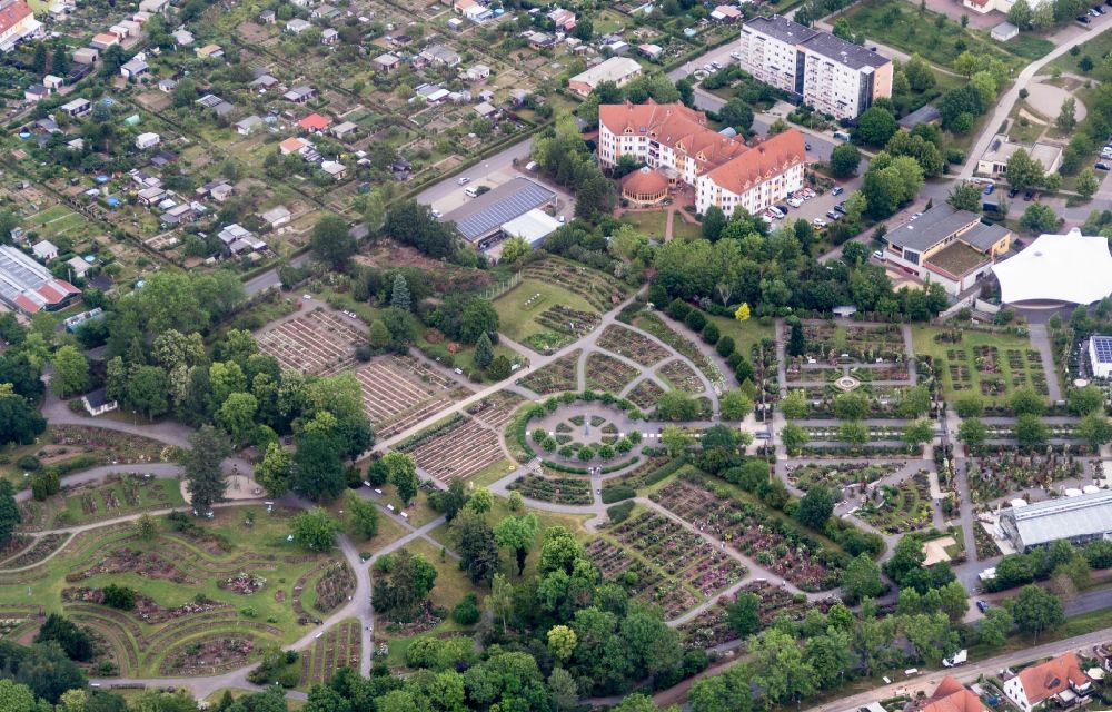 Luftaufnahme Sangerhausen - Rosengarten Europa Rosarium in Sangerhausen im Bundesland Sachsen-Anhalt, Deutschland
