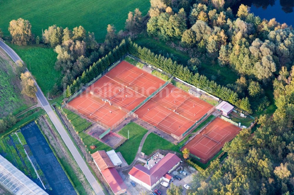 Luftbild Steinfeld - Rotbraun farbiger Tennisplatz des TC Bienwald am Restaurant zum Bienwald in Steinfeld im Bundesland Rheinland-Pfalz, Deutschland