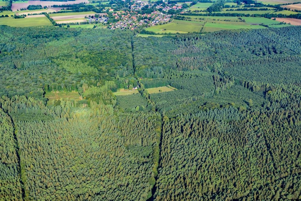 Luftaufnahme Deinste - Rüstjer Forst Waldgebiet bei Helmste in Deinste im Bundesland Niedersachsen, Deutschland