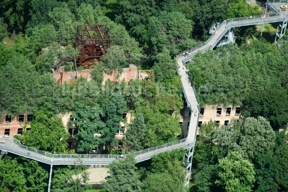 Luftaufnahme Beelitz - Ruine des ehemaligen Klinik- und Krankenhaus - Gebäudes mit dem Baum & Zeit Baumkronenpfad in Beelitz im Bundesland Brandenburg