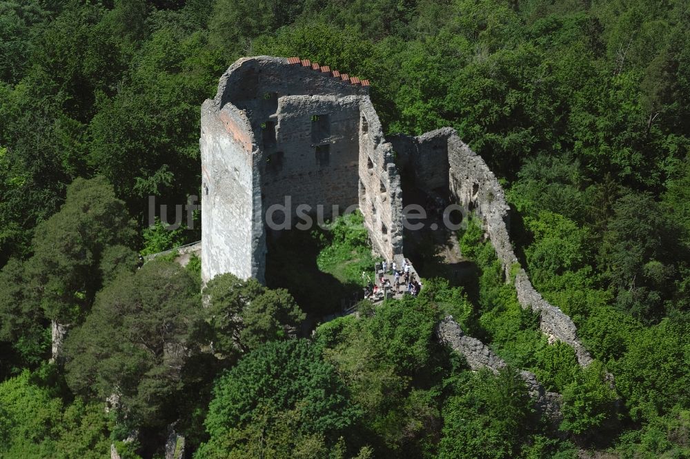 Luftaufnahme Bodman - Ruine und Mauerreste der Burgruine Altbodman in Bodman im Bundesland Baden-Württemberg, Deutschland