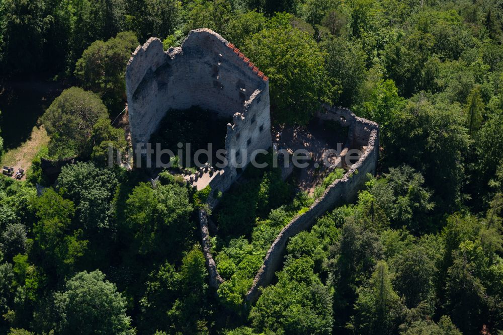 Bodman aus der Vogelperspektive: Ruine und Mauerreste der Burgruine Altbodman in Bodman im Bundesland Baden-Württemberg, Deutschland