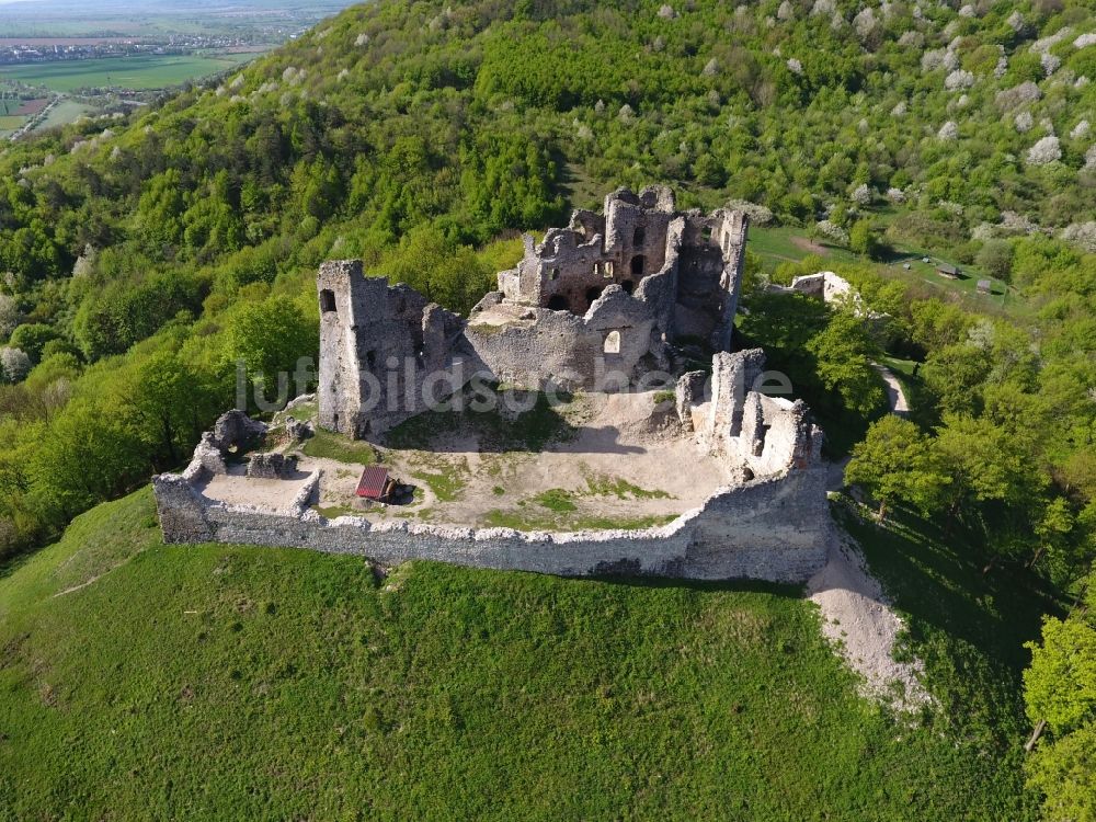 Brekov von oben - Ruine und Mauerreste der Burgruine in Brekov in Presovsky kraj, Slowakei