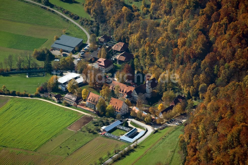 Luftaufnahme Schelklingen - Ruine und Mauerreste der Burgruine Hohenschelkingen in Schelklingen im Bundesland Baden-Württemberg, Deutschland