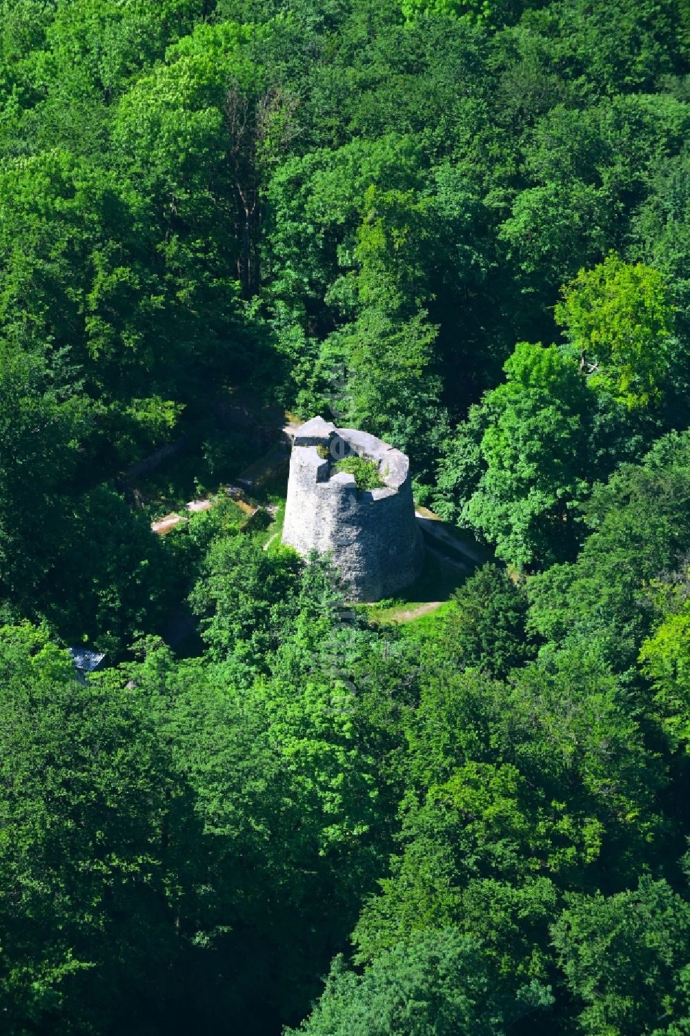 Luftaufnahme Bad Driburg - Ruine und Mauerreste der Burgruine Iburg in Bad Driburg im Bundesland Nordrhein-Westfalen, Deutschland