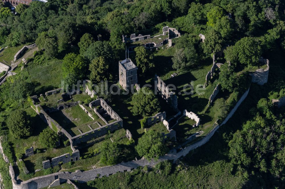 Luftbild Singen (Hohentwiel) - Ruine und Mauerreste der Burgruine im Ortsteil Hohentwiel in Singen (Hohentwiel) im Bundesland Baden-Württemberg, Deutschland