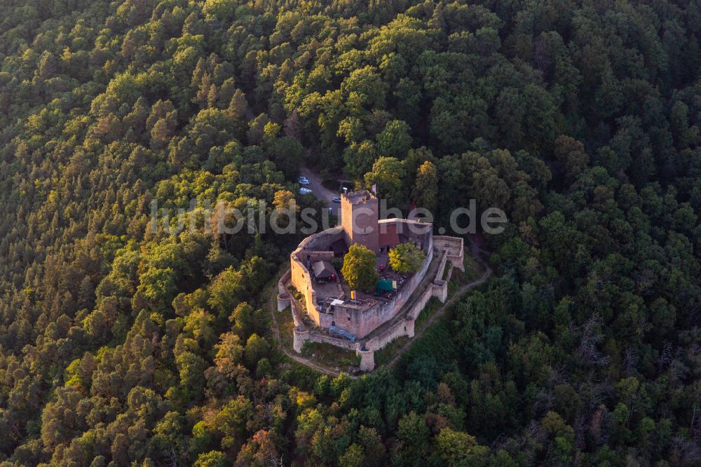 Klingenmünster von oben - Ruine und Mauerreste der ehemaligen Burganlage Burg Landeck in Klingenmünster im Bundesland Rheinland-Pfalz, Deutschland