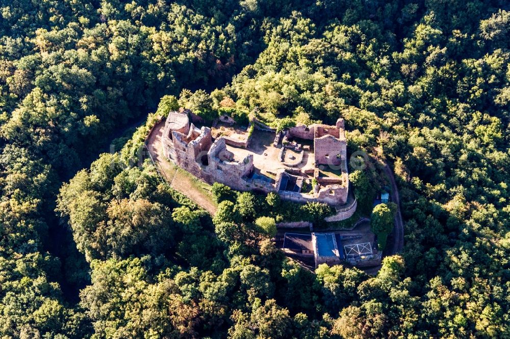 Luftbild Hallgarten - Ruine und Mauerreste der ehemaligen Burganlage Montfort in Hallgarten im Bundesland Rheinland-Pfalz, Deutschland