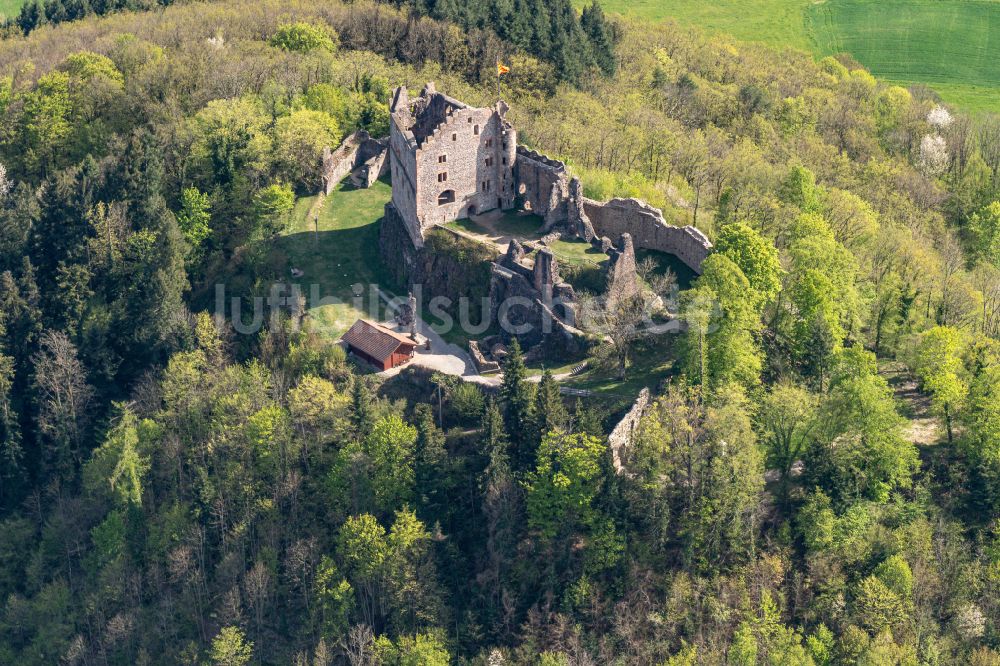 Luftbild Seelbach - Ruine und Mauerreste der ehemaligen Burganlage der Veste Burg Hohengeroldseck auf dem Schloßberg im Ortsteil Schönberg in Seelbach im Bundesland Baden-Württemberg