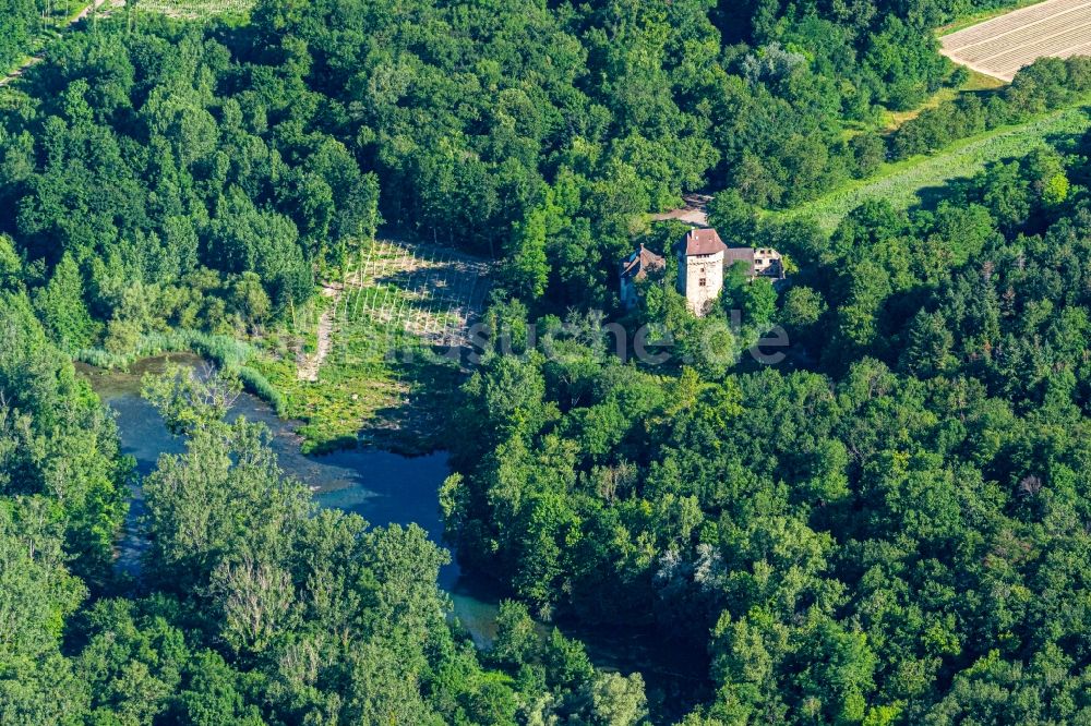 Jechtingen von oben - Ruine und Mauerreste der ehemaligen Burganlage der Veste Sponeck in Jechtingen im Bundesland Baden-Württemberg, Deutschland