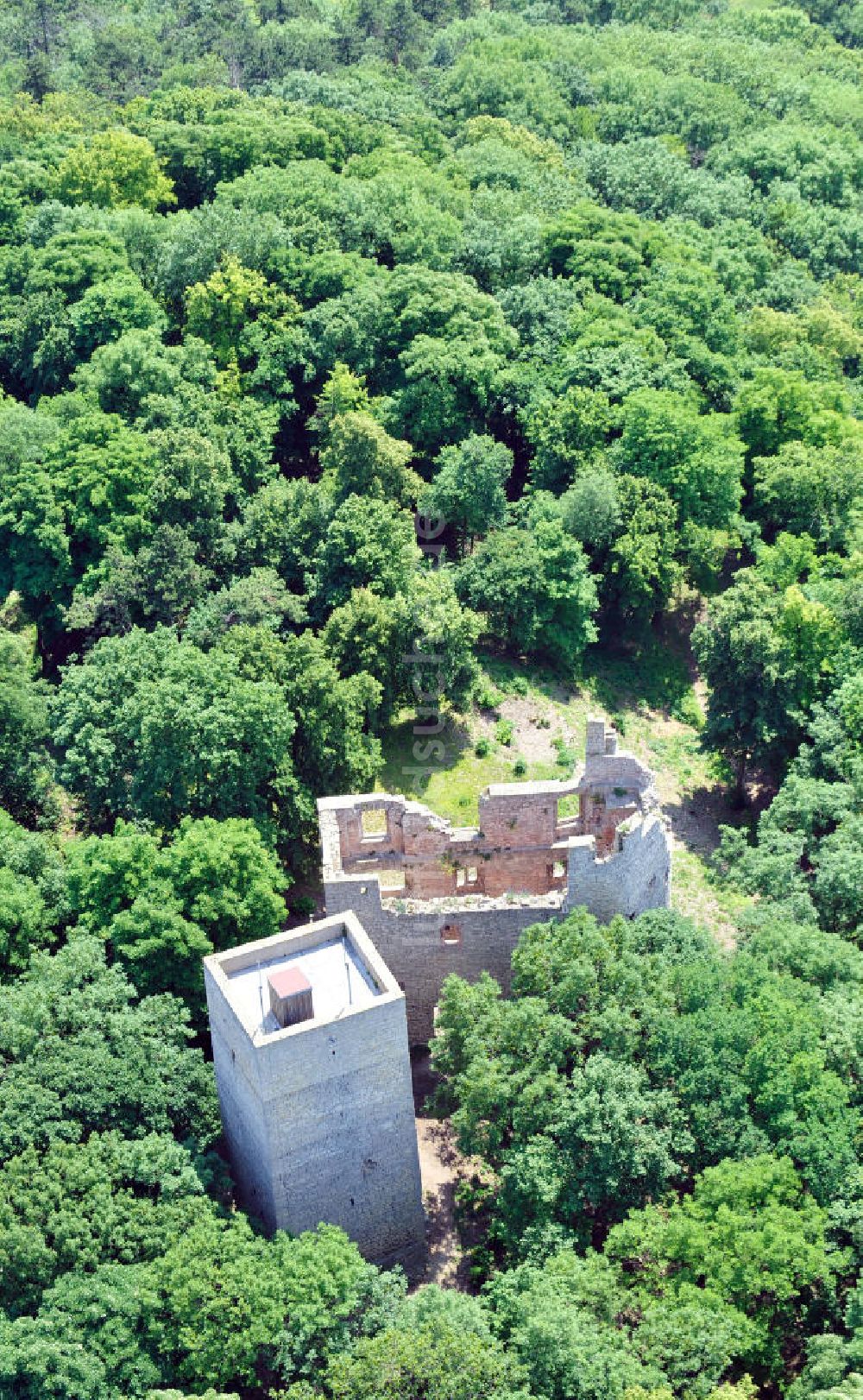Luftbild Oldisleben OT Sachsenburg - Ruine Obere Sachsenburg in Thüringen
