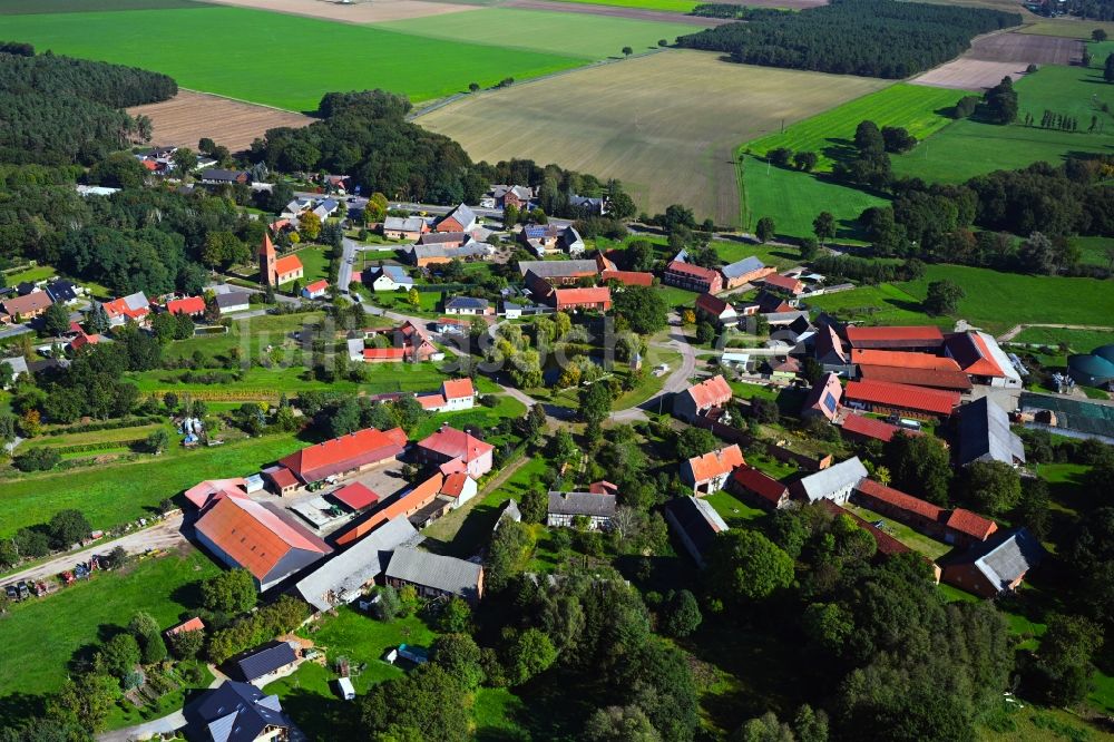 Luftaufnahme Cheinitz - Rundlings- Dorf - Ansicht in Cheinitz im Bundesland Sachsen-Anhalt, Deutschland