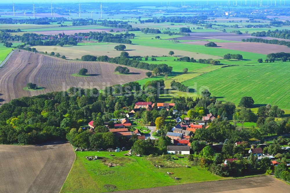 Neu Krüssow aus der Vogelperspektive: Rundlings- Dorf - Ansicht in Neu Krüssow im Bundesland Brandenburg, Deutschland