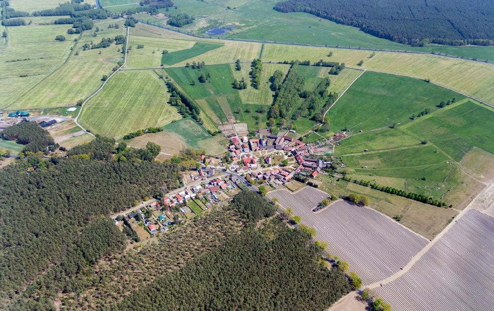 Luftbild Reesdorf - Rundlings- Dorf - Ansicht in Reesdorf im Bundesland Brandenburg, Deutschland