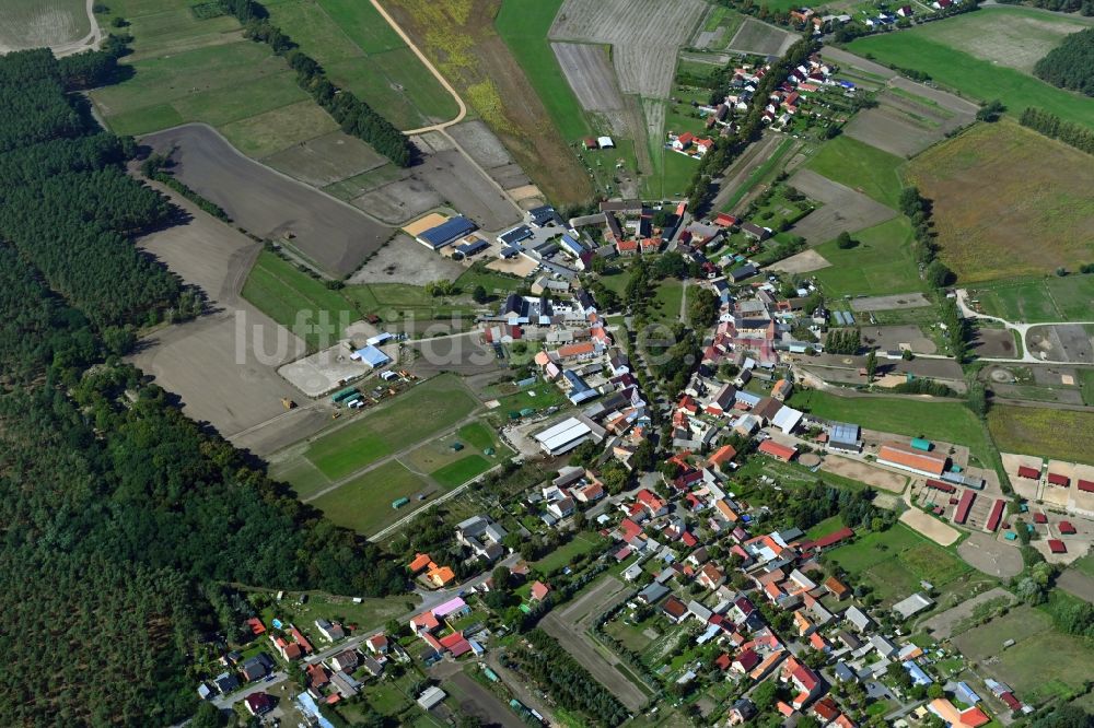 Luftbild Schöneiche - Rundlings- Dorf - Ansicht in Schöneiche im Bundesland Brandenburg, Deutschland