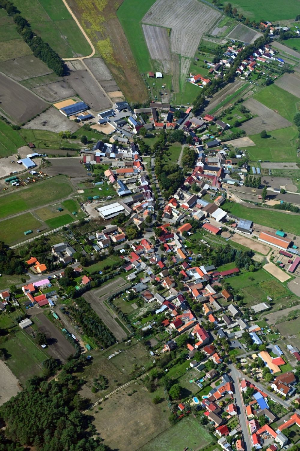 Luftaufnahme Schöneiche - Rundlings- Dorf - Ansicht in Schöneiche im Bundesland Brandenburg, Deutschland