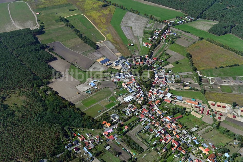Schöneiche aus der Vogelperspektive: Rundlings- Dorf - Ansicht in Schöneiche im Bundesland Brandenburg, Deutschland