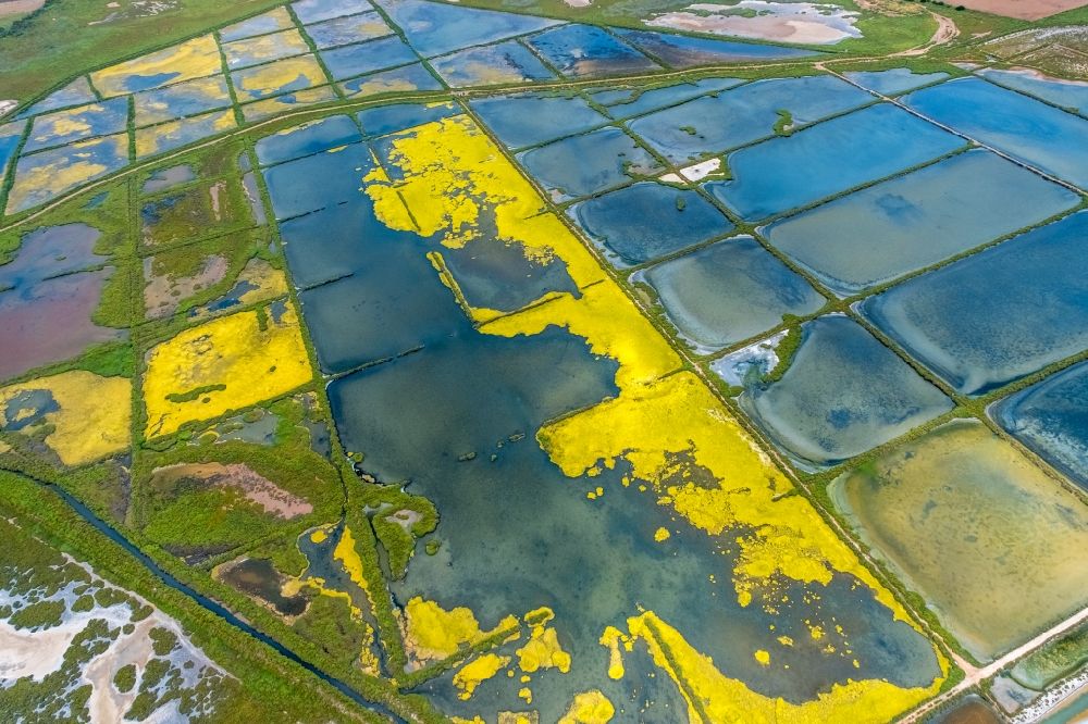 Luftaufnahme Llucmajor - Salinen Felder zur Salzgewinnung in Llucmajor auf der balearischen Mittelmeerinsel Mallorca, Spanien