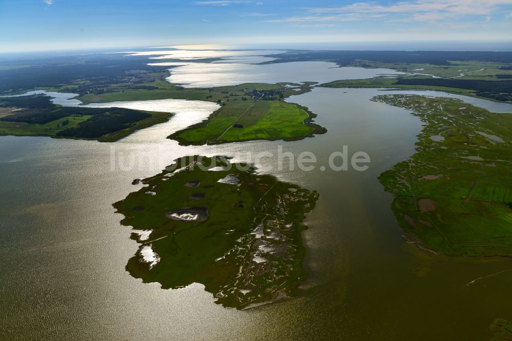 Zingst von oben - Salzgrasland- Insel an der Ostseeküste in Zingst im Bundesland Mecklenburg-Vorpommern, Deutschland