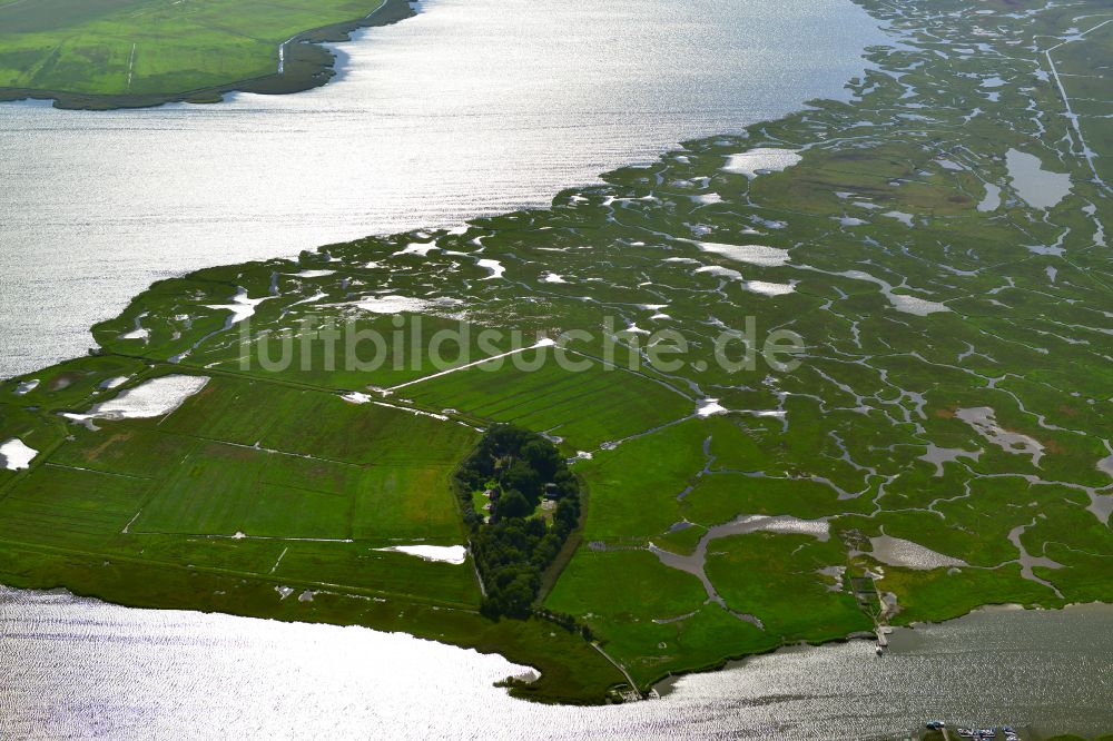 Luftbild Zingst - Salzgrasland- Insel an der Ostseeküste in Zingst im Bundesland Mecklenburg-Vorpommern, Deutschland