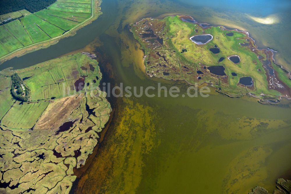 Zingst aus der Vogelperspektive: Salzgrasland -Insel in Zingst im Bundesland Mecklenburg-Vorpommern