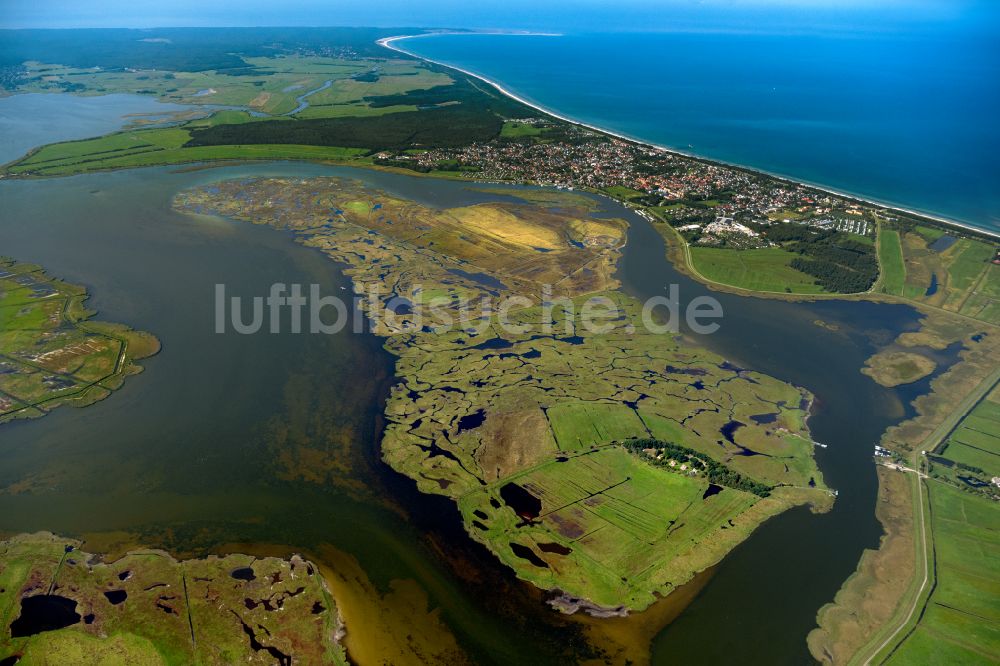 Luftaufnahme Zingst - Salzgrasland -Insel in Zingst im Bundesland Mecklenburg-Vorpommern