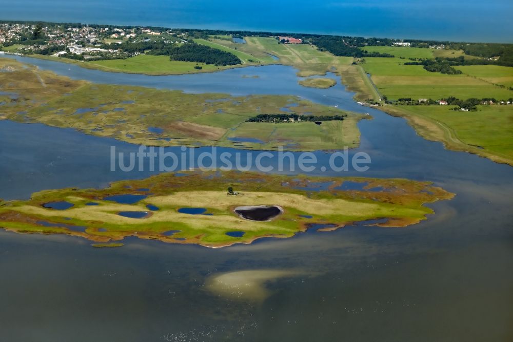 Zingst von oben - Salzgrasland- Inseln an der Ostseeküste in Zingst im Bundesland Mecklenburg-Vorpommern, Deutschland