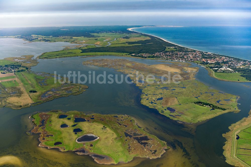 Luftbild Zingst - Salzgrasland- Inseln an der Ostseeküste in Zingst im Bundesland Mecklenburg-Vorpommern, Deutschland