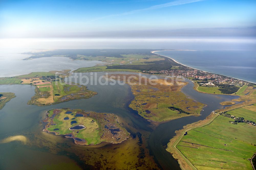 Luftaufnahme Zingst - Salzgrasland- Inseln an der Ostseeküste in Zingst im Bundesland Mecklenburg-Vorpommern, Deutschland