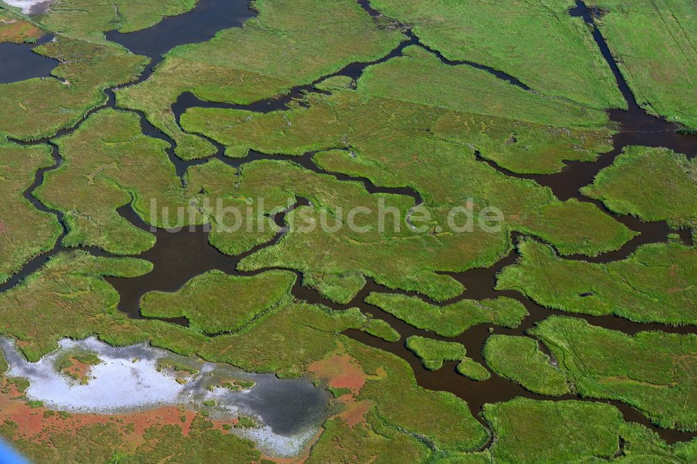 Zingst aus der Vogelperspektive: Salzgrasland- Inseln an der Ostseeküste in Zingst im Bundesland Mecklenburg-Vorpommern, Deutschland
