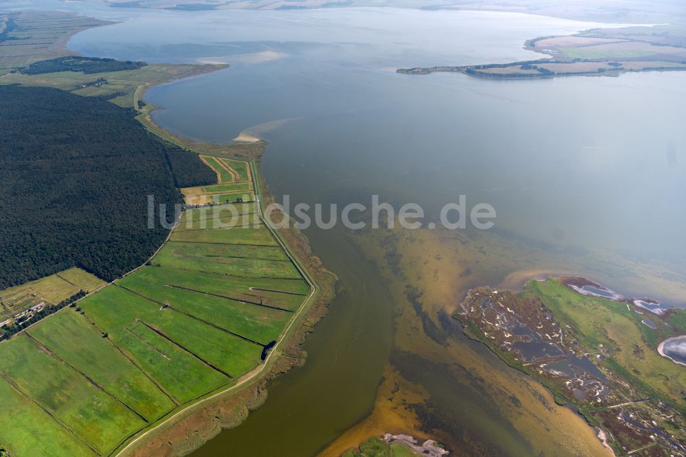 Zingst aus der Vogelperspektive: Salzgrasland an der Ostseeküste in Zingst im Bundesland Mecklenburg-Vorpommern, Deutschland