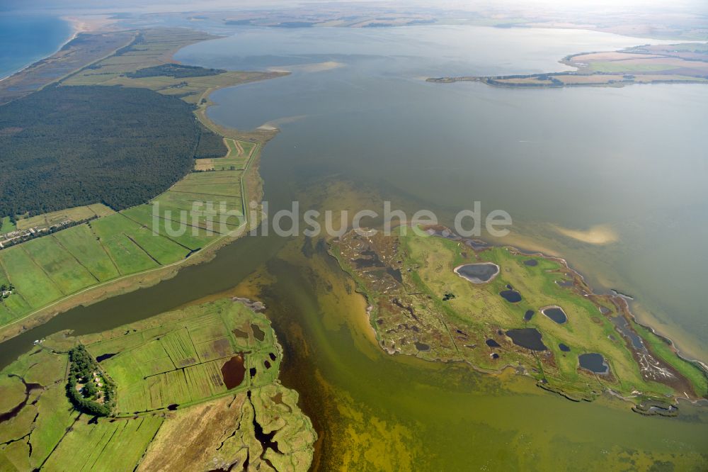 Luftbild Zingst - Salzgrasland an der Ostseeküste in Zingst im Bundesland Mecklenburg-Vorpommern, Deutschland