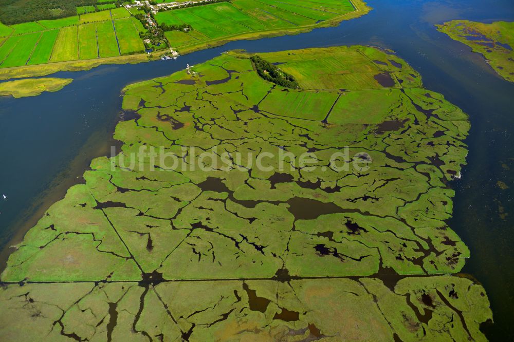 Zingst aus der Vogelperspektive: Salzgrasland an der Ostseeküste in Zingst im Bundesland Mecklenburg-Vorpommern, Deutschland