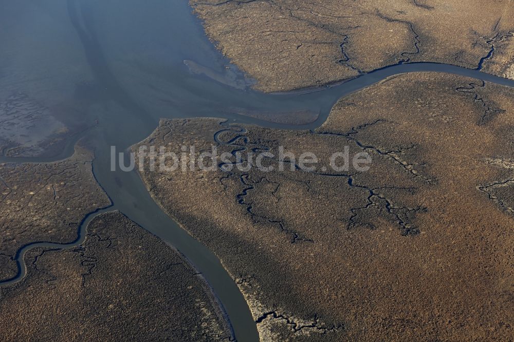 Friedrichskoog von oben - Salzwiesen im Nationalpark Wattenmeer in Friedrichskoog im Bundesland Schleswig-Holstein